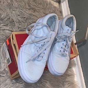 COPY - Mono Canvas Skyway Vans